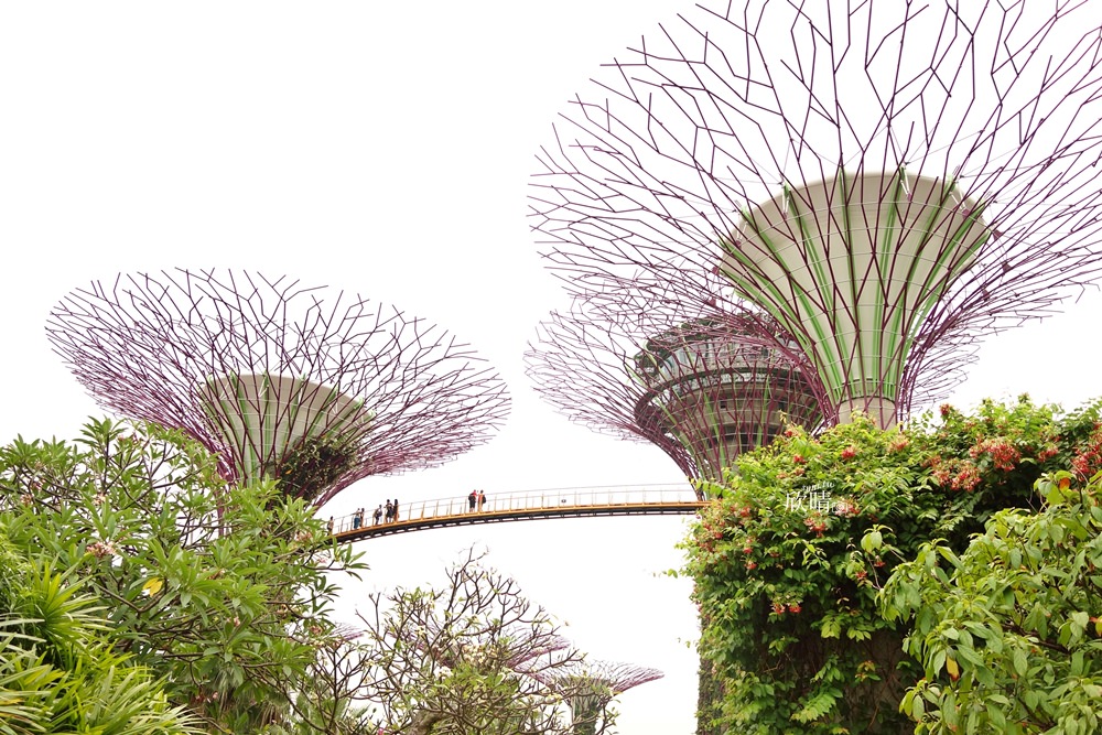 新加坡景點 | 免費濱海灣花園Gardens by the Bay