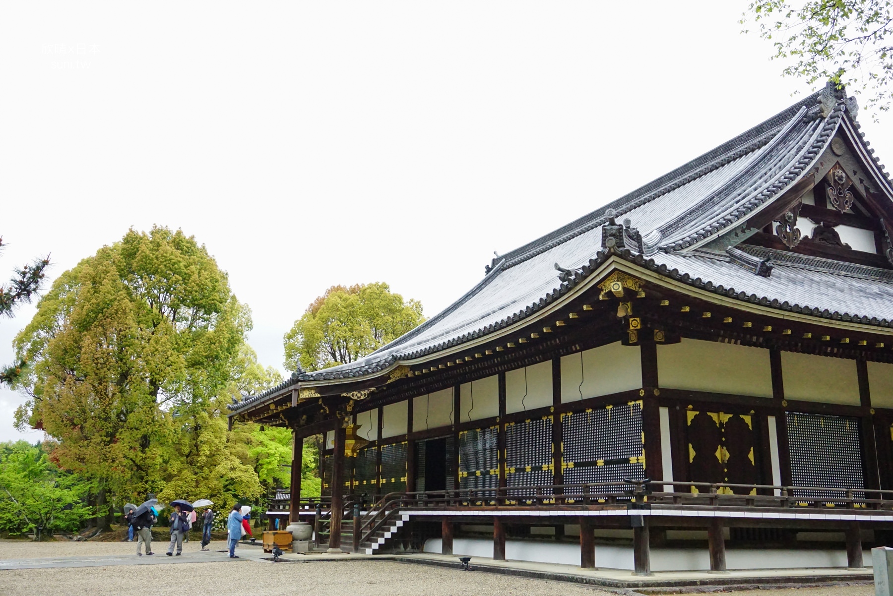 京都景點｜仁和寺。美麗的傳統建築、偌大的寺廟園區，被列為世界遺產(交通/門票/櫻花)