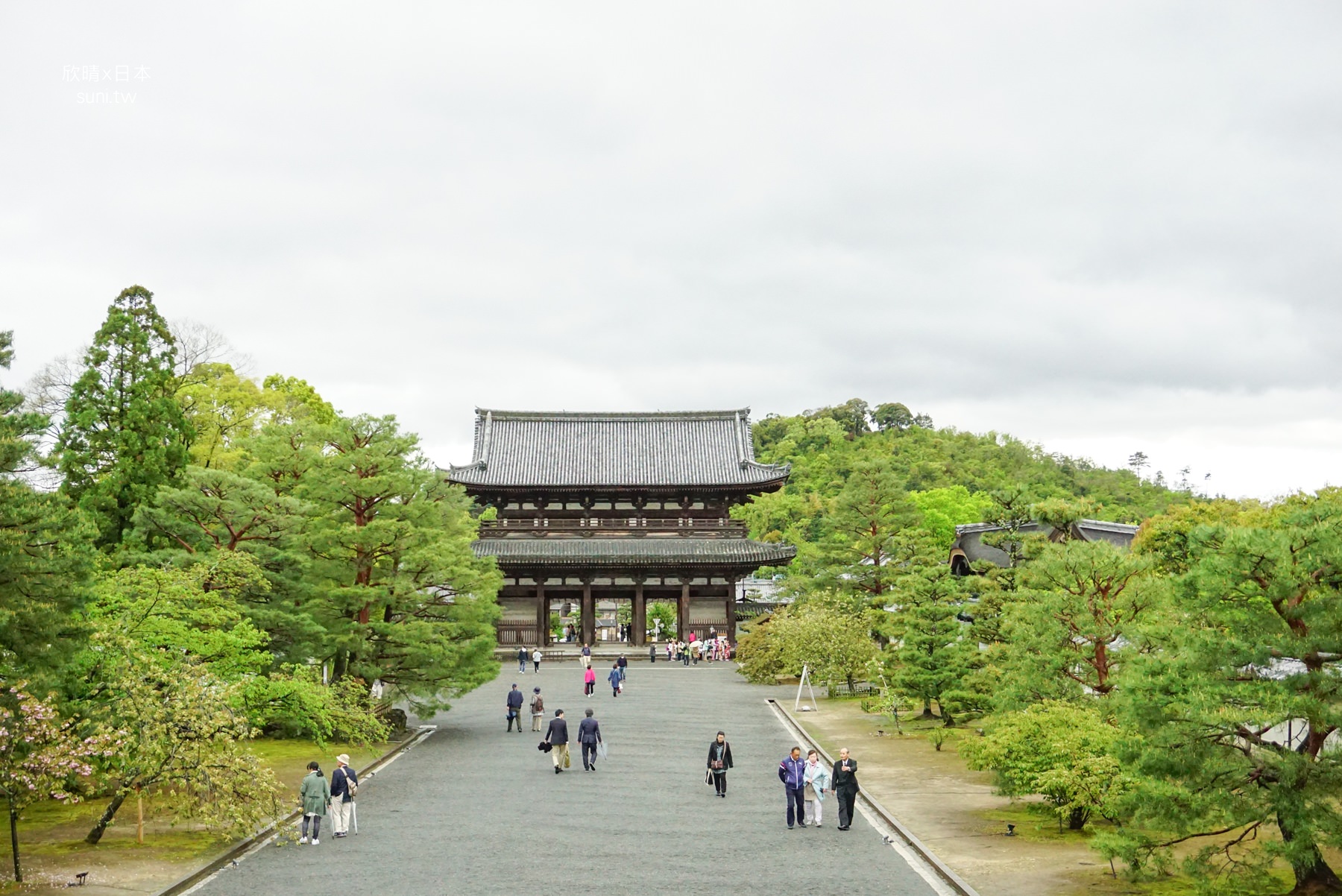 京都景點｜仁和寺。美麗的傳統建築、偌大的寺廟園區，被列為世界遺產(交通/門票/櫻花)