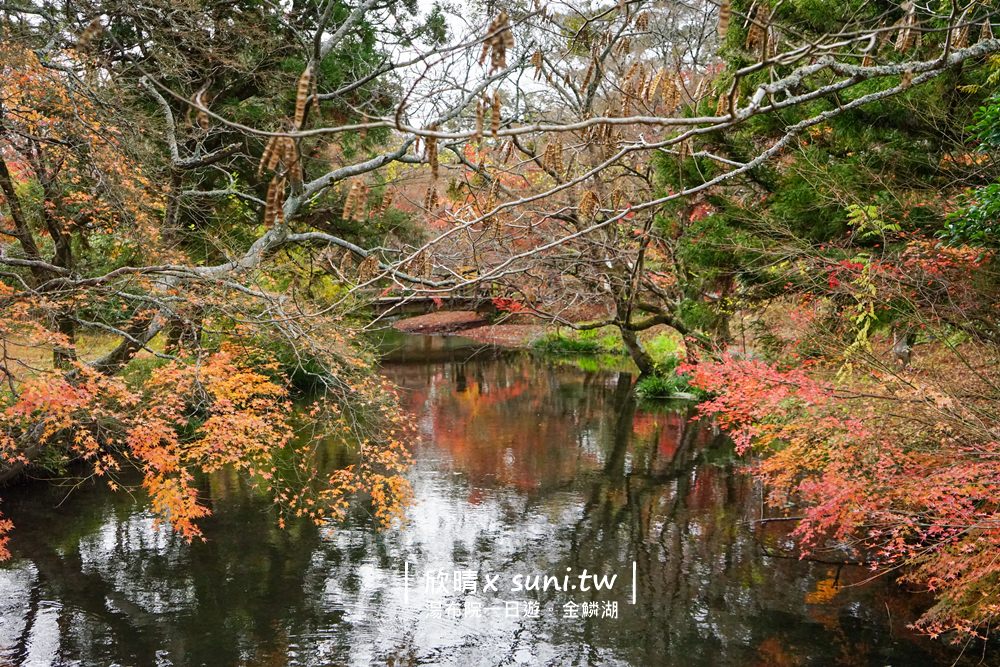 金鱗湖｜由布院冬天一日遊推薦。楓葉的尾聲也很美麗~九州自由行