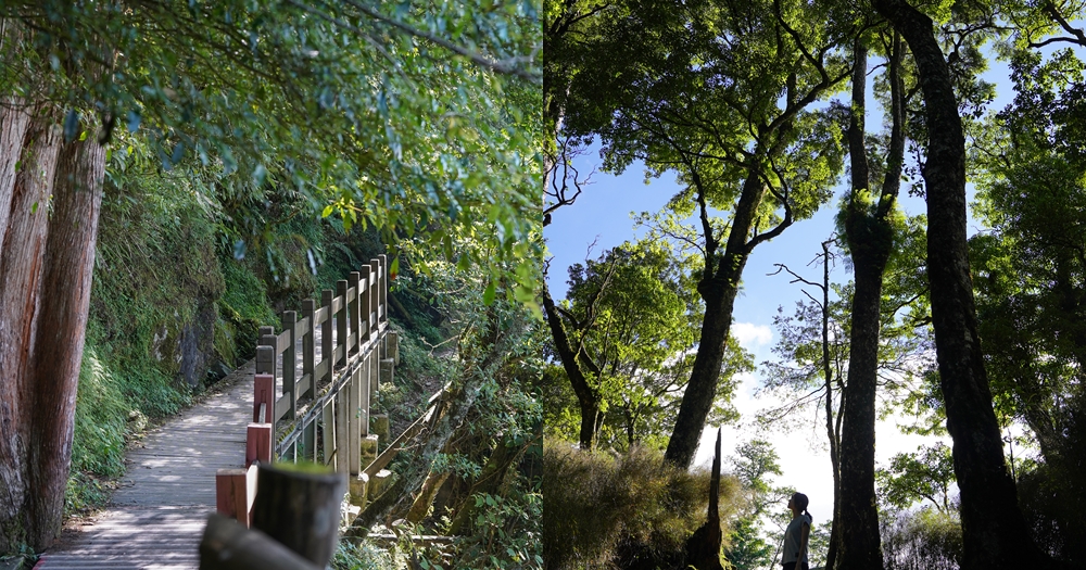 苗栗景點推薦｜南庄神仙谷。電影賽德克巴萊拍攝地！步行10分鐘就能看湛藍瀑布、吊橋