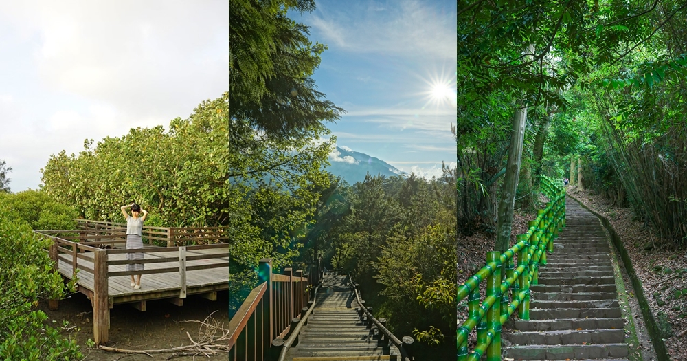 新竹步道景點懶人包推薦｜13個親子平緩輕鬆步道、登山爬山步道！網美打卡美景
