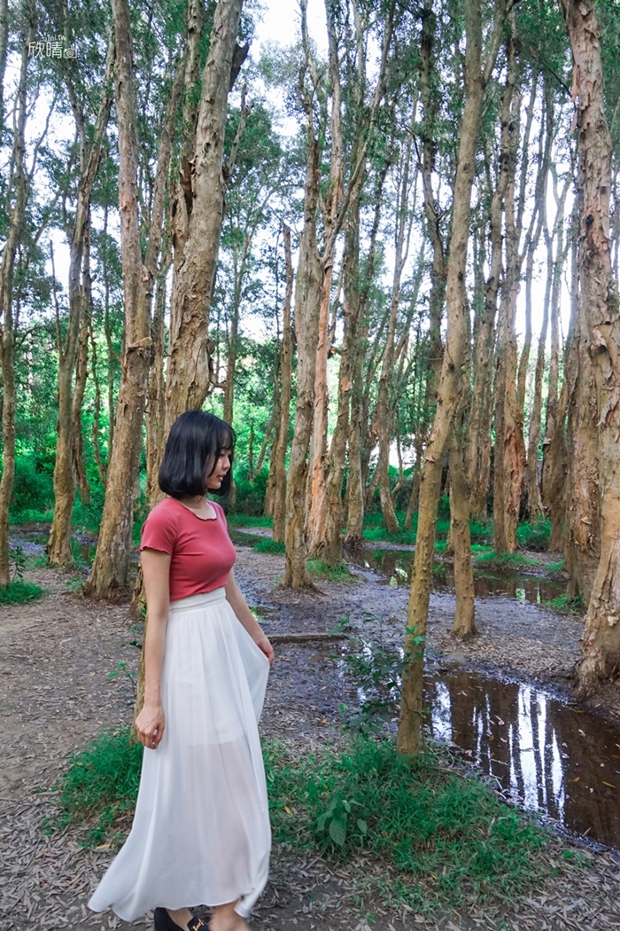 新竹秘境景點推薦｜香山森林。婚紗拍照取景之處