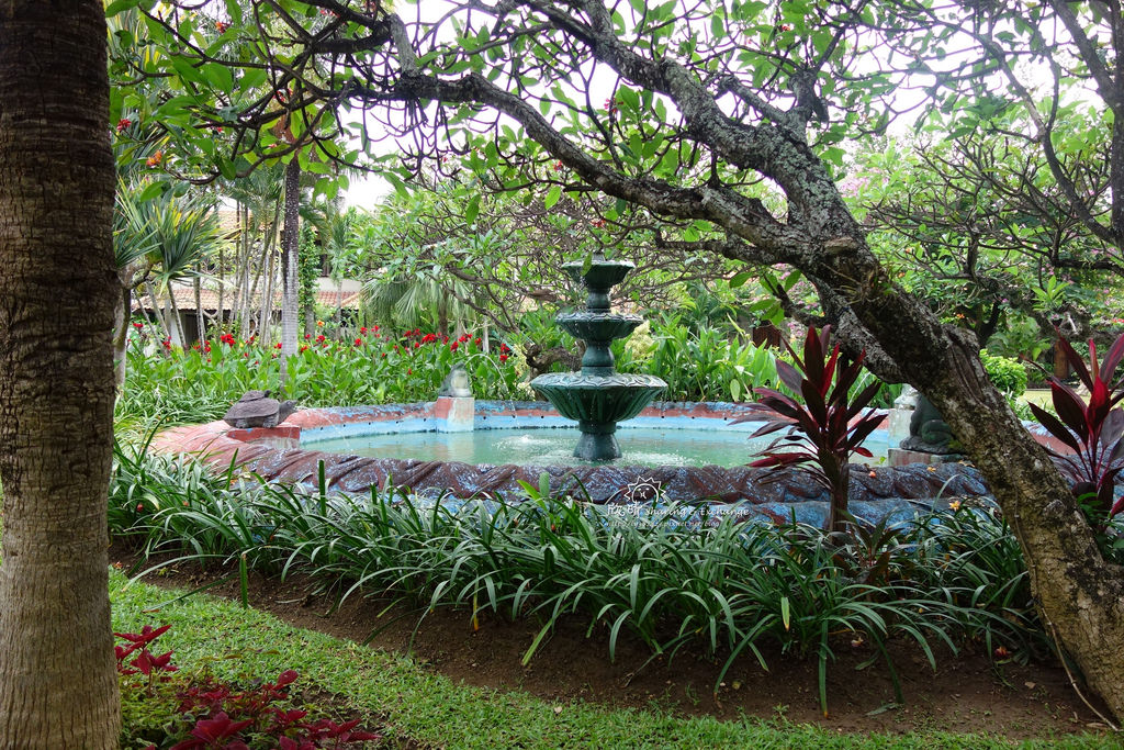 |峇里島住宿|White Rose Kuta Resort - Villas & Spa 白玫瑰庫塔Spa度假村、平價乾淨住宿推薦