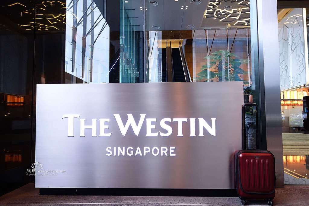 新加坡飯店 | 新加坡威斯汀酒店The Westin Singapore。無邊際泳池