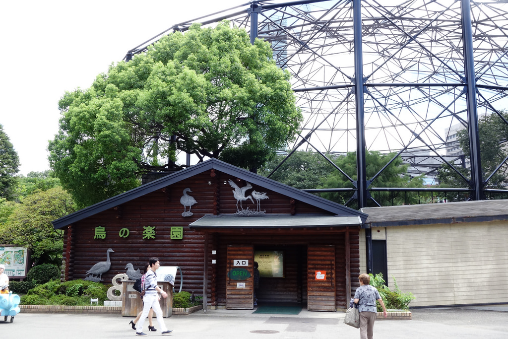 |大阪景點|天王寺動物園+我的動物園屁股們+動物園工作太驚悚+小企鵝好可愛+大阪周遊卡