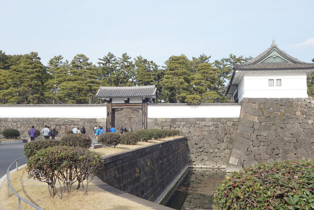 |東京景點|皇居散步(跑步)、梅花小鳥+皇居外苑、皇宮東御花園、二重橋、櫻田門