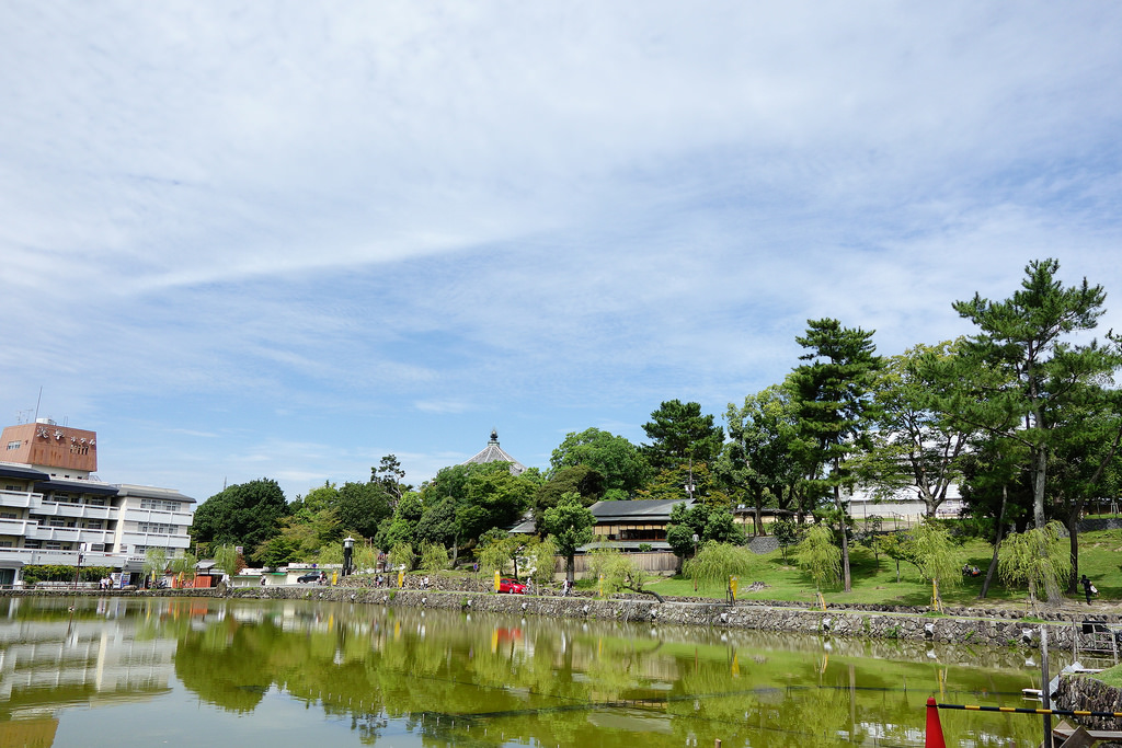 |奈良景點|猿澤池+猿沢池 靜靜地欣賞五重塔的倒影