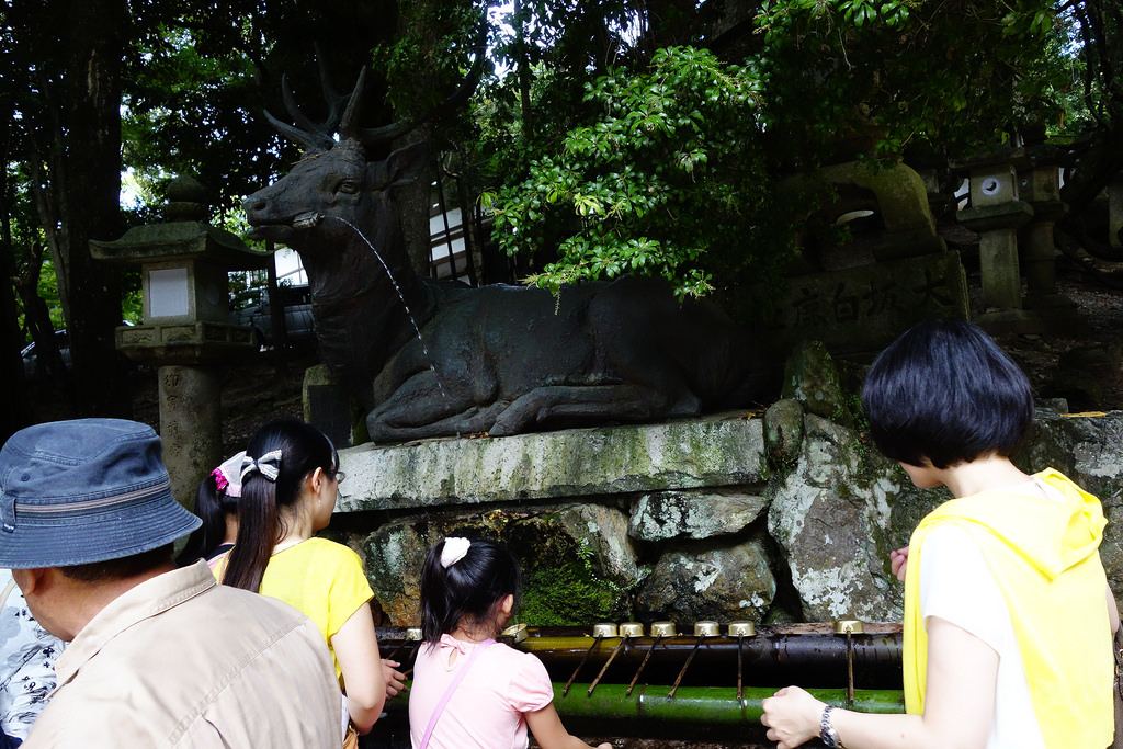 |奈良景點|春日大社+從奈良公園經過奈良博物館，散步到春日大社表參道+鹿都相親相愛了