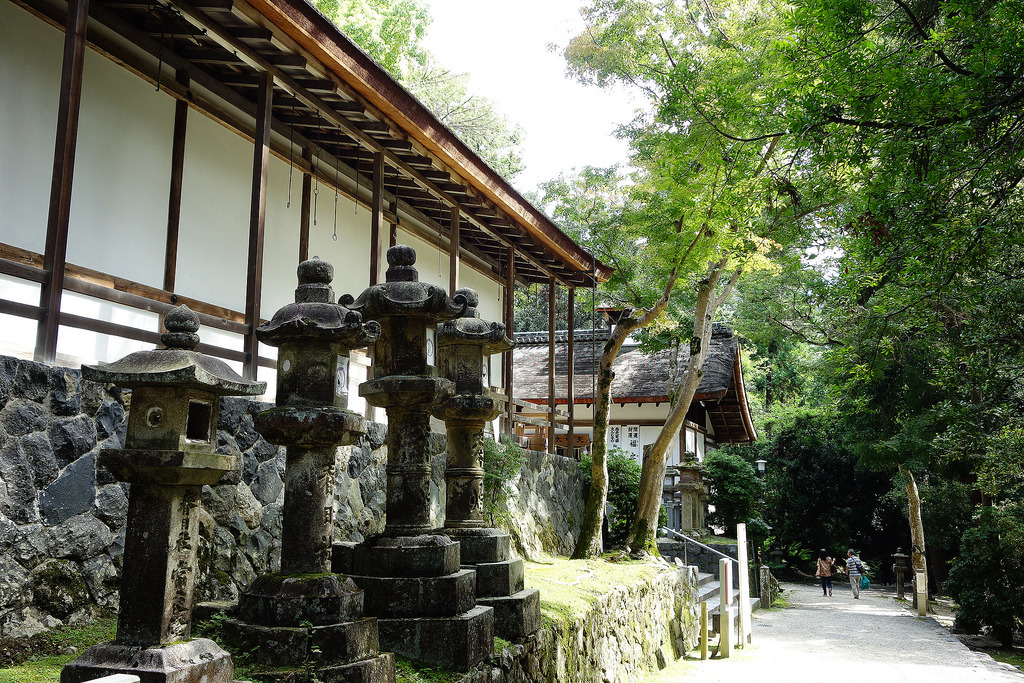 |奈良景點|夫婦大國社特別的水占卜，可以看看戀愛運喔+金龍神社