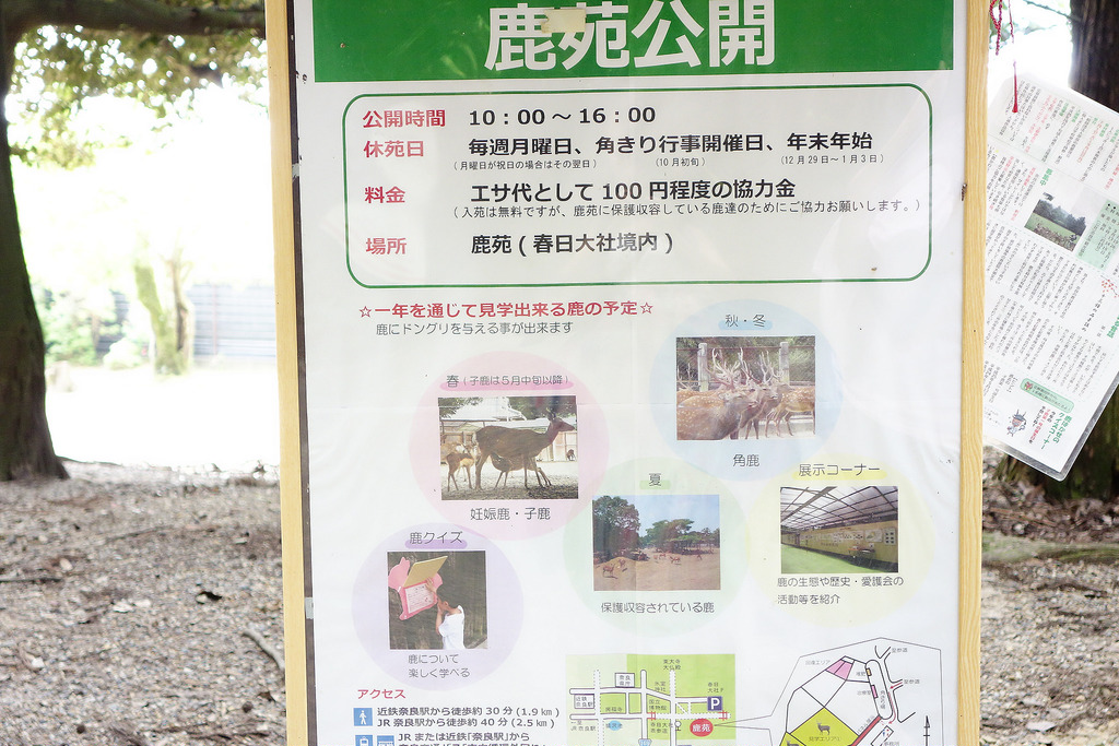 |奈良景點|春日大社+從奈良公園經過奈良博物館，散步到春日大社表參道+鹿都相親相愛了