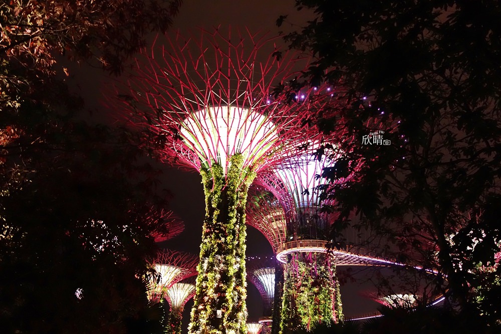 新加坡景點 | Supertree Grove超級樹。免費音樂燈光秀