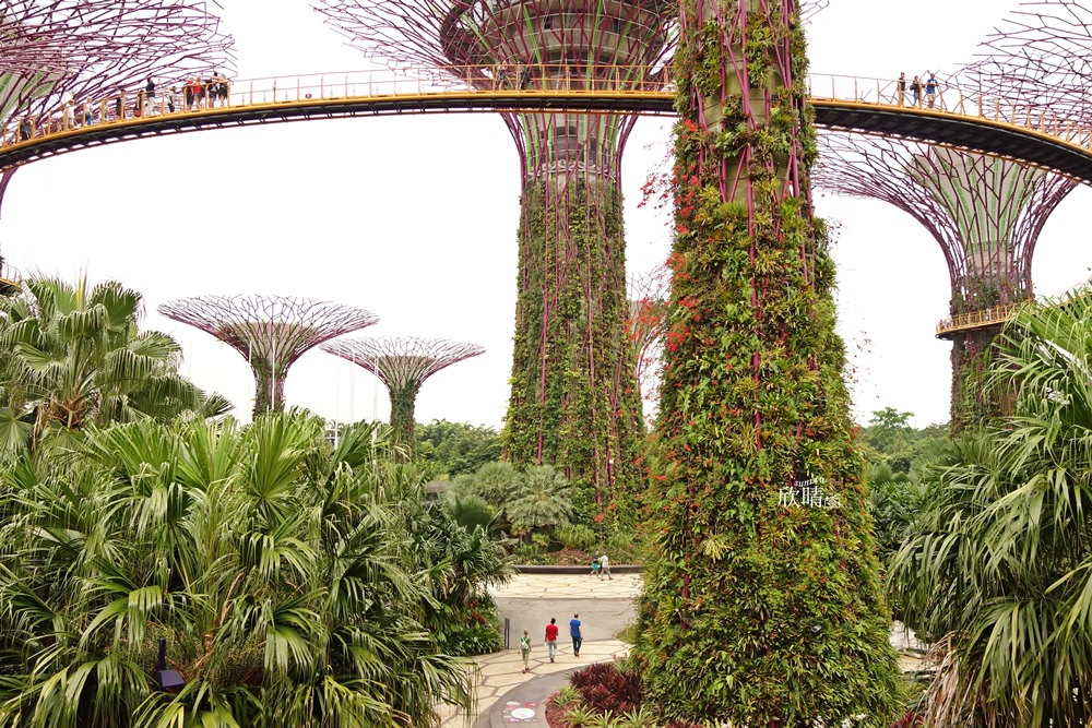 新加坡景點 | 免費濱海灣花園Gardens by the Bay