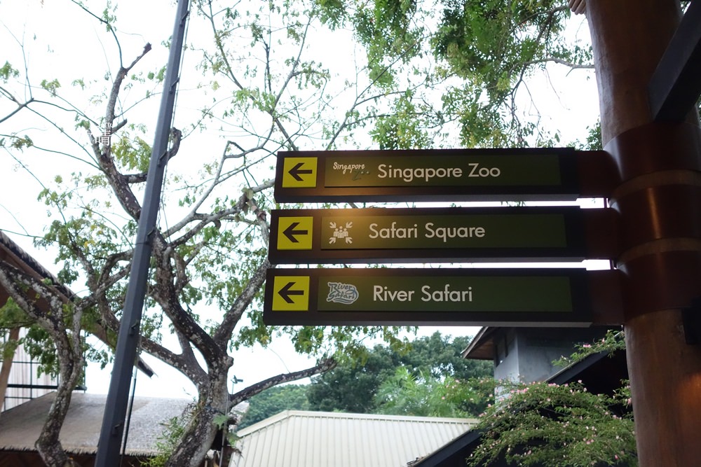 新加坡交通 | 去夜間野生動物園Night Safari 交通安排。美食Nasi Lemak椰漿飯