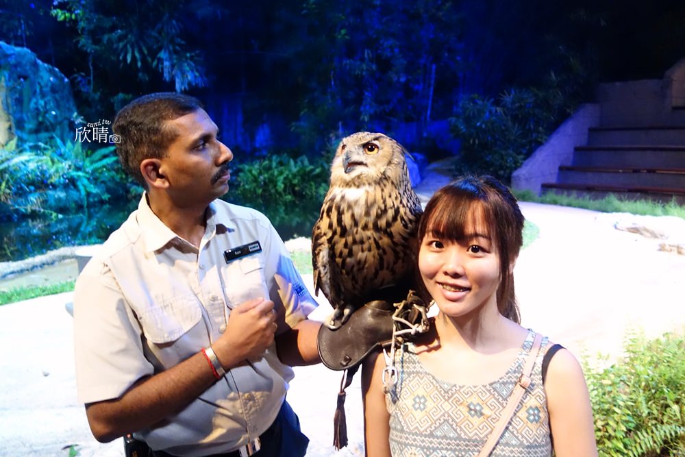 新加坡景點 | 夜間野生動物園Night Safari。有趣表演/吞火秀