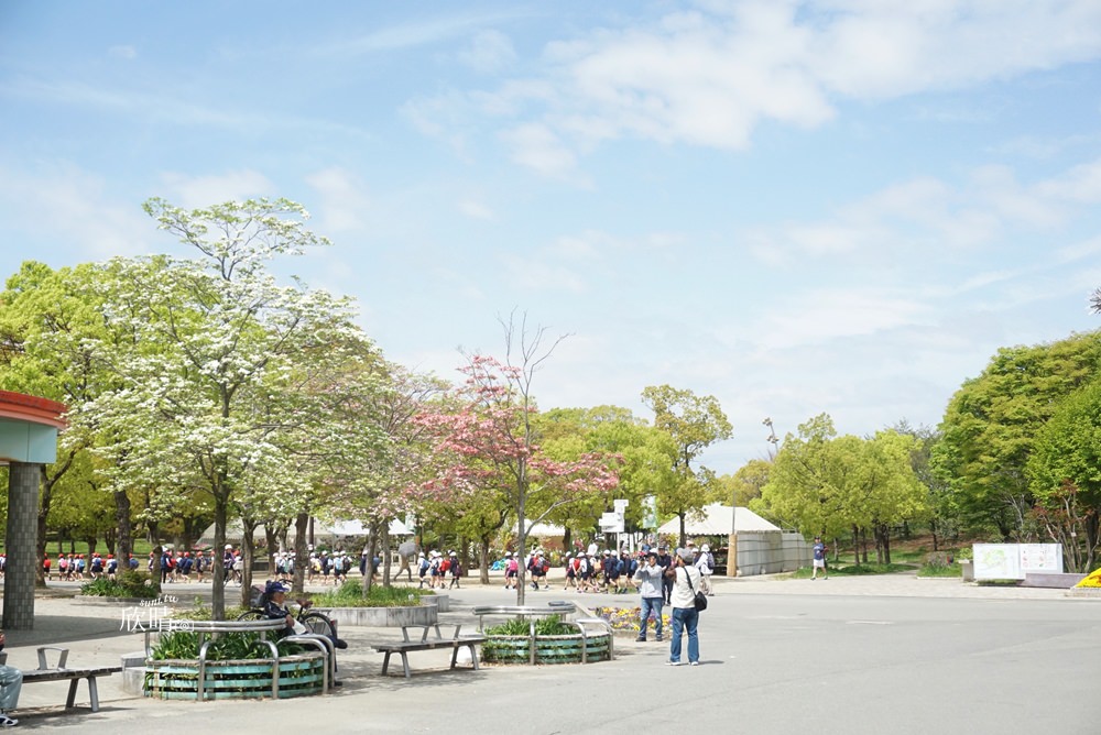 大阪周遊卡景點 | 鮮花競放館/花博博覽會/大阪市區的綠地/散步推薦