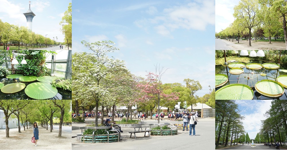 大阪周遊卡景點 | 鮮花競放館/花博博覽會/大阪市區的綠地/散步推薦 @欣晴。美食旅遊生活分享