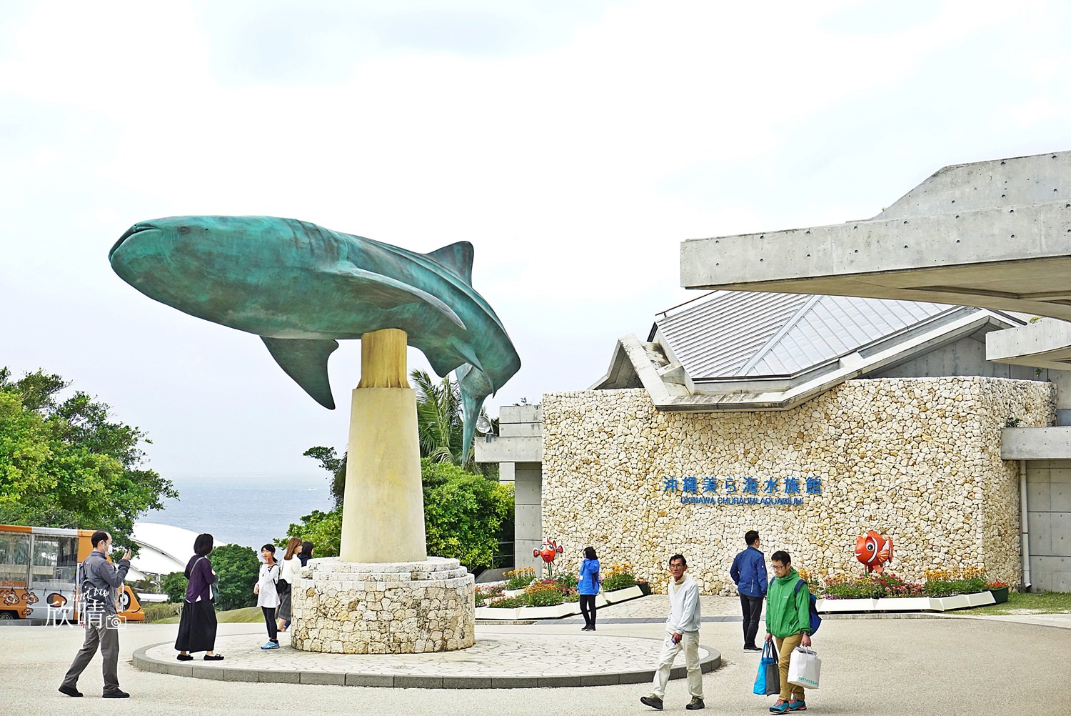 沖繩美麗海水族館｜海豚表演時間/鯨鯊/門票交通/紀念品/Map code