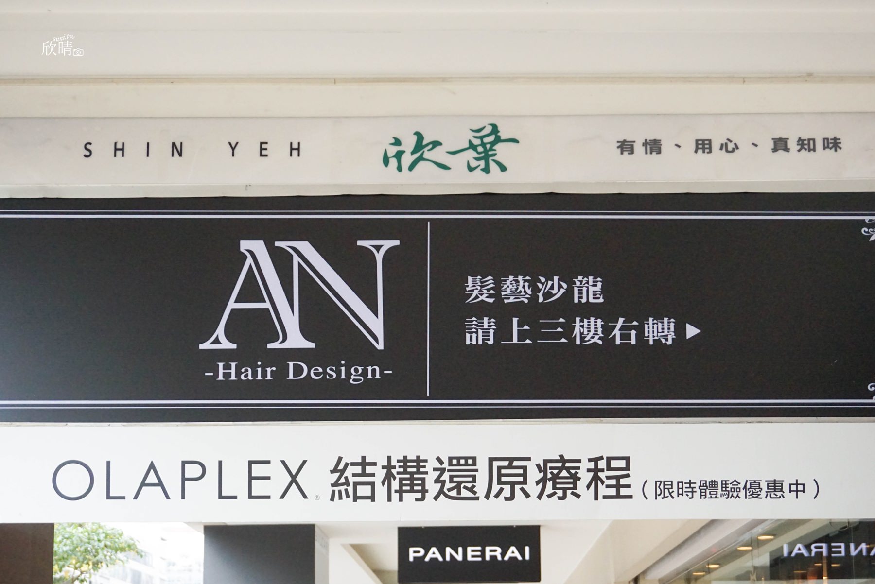 An Hair Salon｜台北東區Olaplex歐拉結構式護髮/局部燙髮設計師(價位)