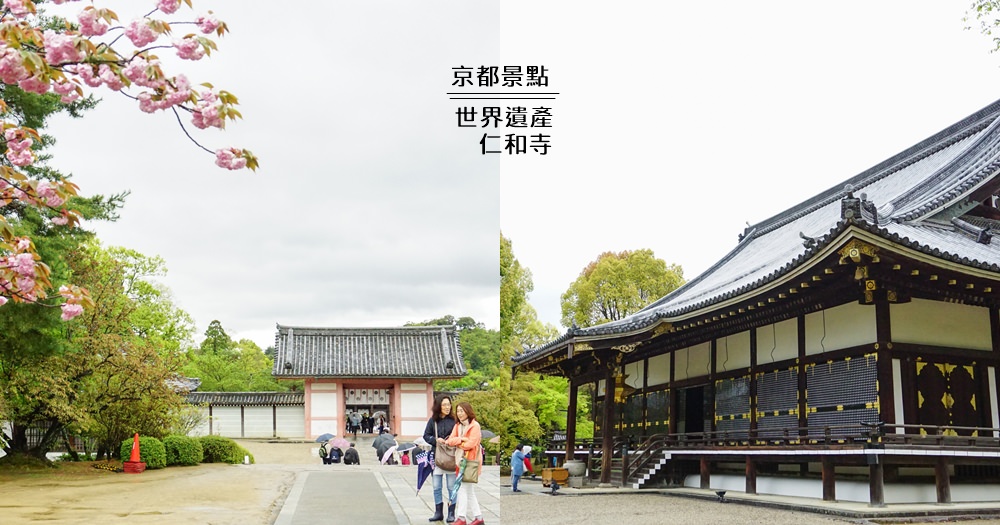 京都景點｜仁和寺。美麗的傳統建築、偌大的寺廟園區，被列為世界遺產(交通/門票/櫻花) @欣晴。美食旅遊生活分享