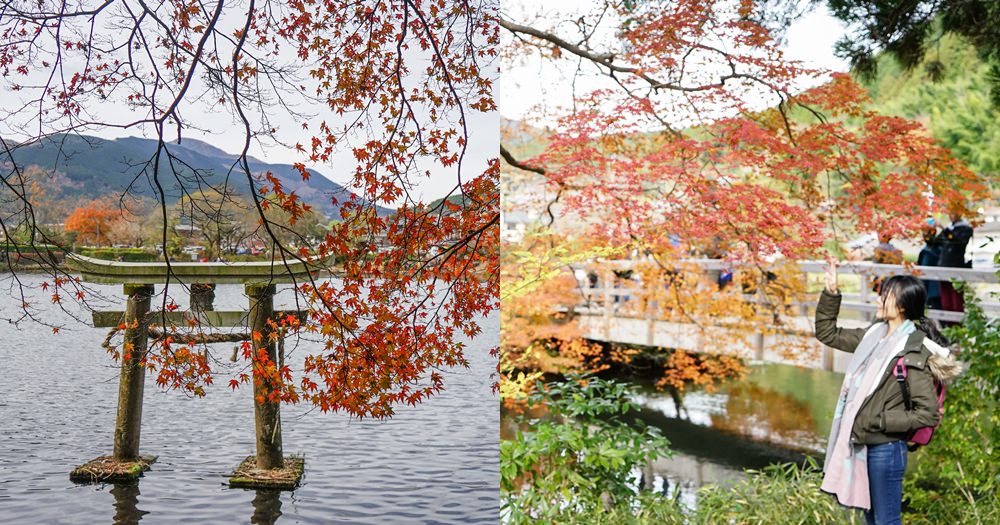 金鱗湖｜由布院冬天一日遊推薦。楓葉的尾聲也很美麗~九州自由行 @欣晴。美食旅遊生活分享