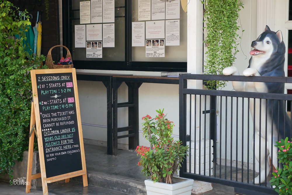 泰國曼谷哈士奇咖啡廳推薦｜TrueLove @ Neverland。近20隻萌犬大軍出動囉！(交通/門票/注意事項)