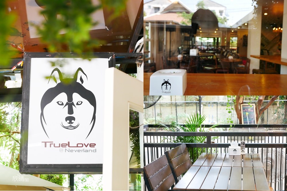 泰國曼谷哈士奇咖啡廳推薦｜TrueLove @ Neverland。近20隻萌犬大軍出動囉！(交通/門票/注意事項)