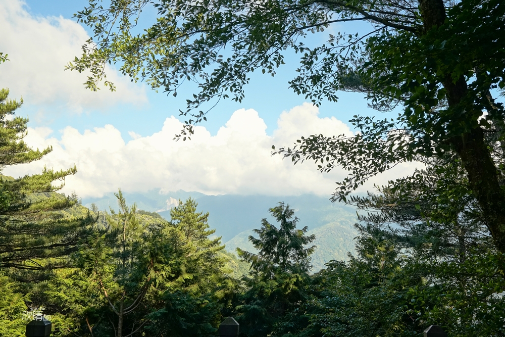新竹五峰景點推薦｜觀霧雲霧步道。1公里超美觀景步道還可欣賞群峰聖稜線