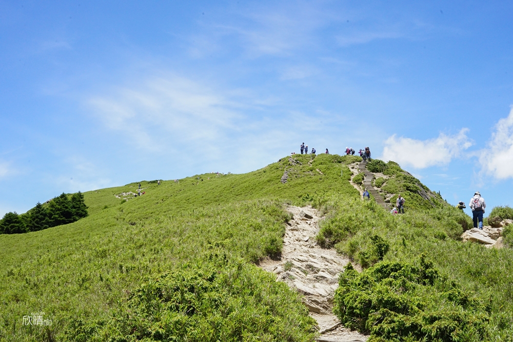 南投合歡山景點推薦｜開車就能抵達標高3275公尺的武嶺、全長785公尺的石門山步道！登頂台灣百岳