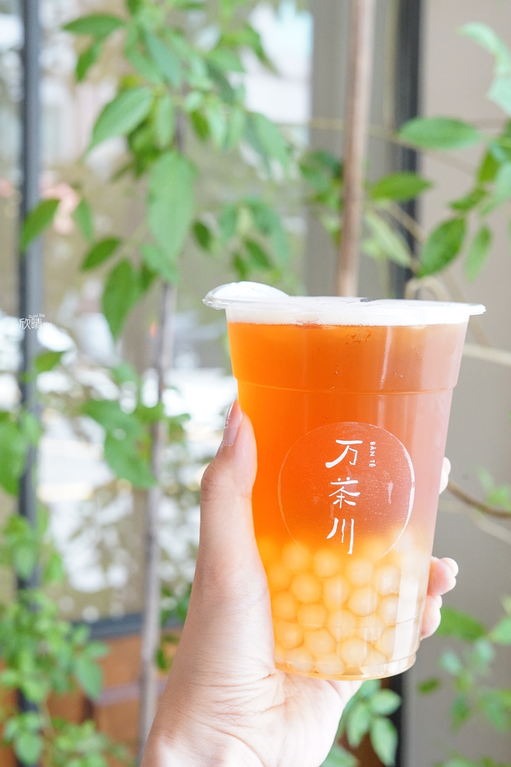 台南飲料推薦｜万茶川日本茶。恰到好處的青梅綠!(菜單menu價錢)