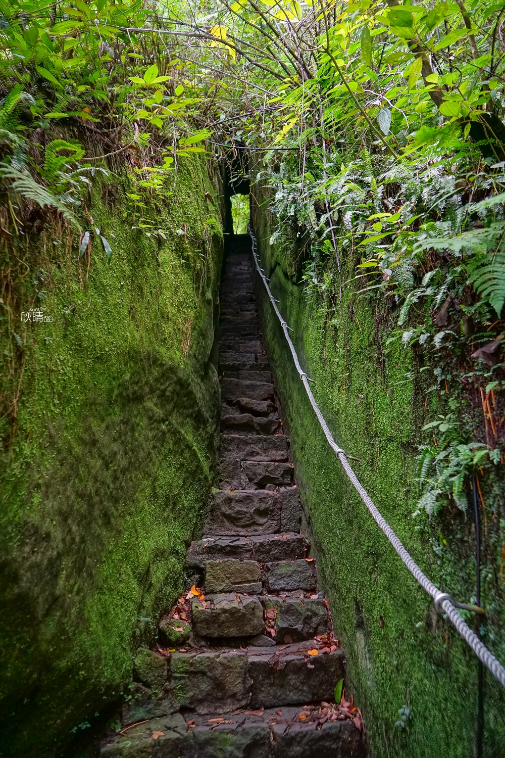 新竹北埔步道推薦｜猴洞一線天。大自然鬼斧神工~400公尺就可以抵達
