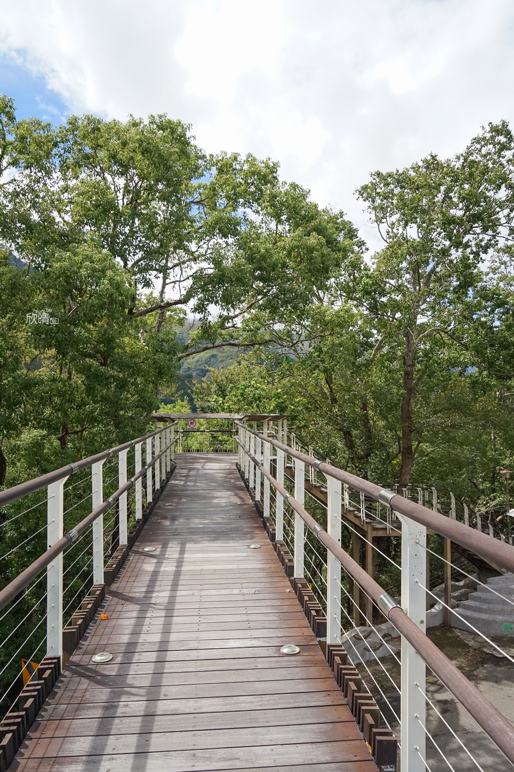 桃園景點推薦｜巴陵古道生態園區。1.28公里輕鬆簡單步道！體驗山中繩索橋
