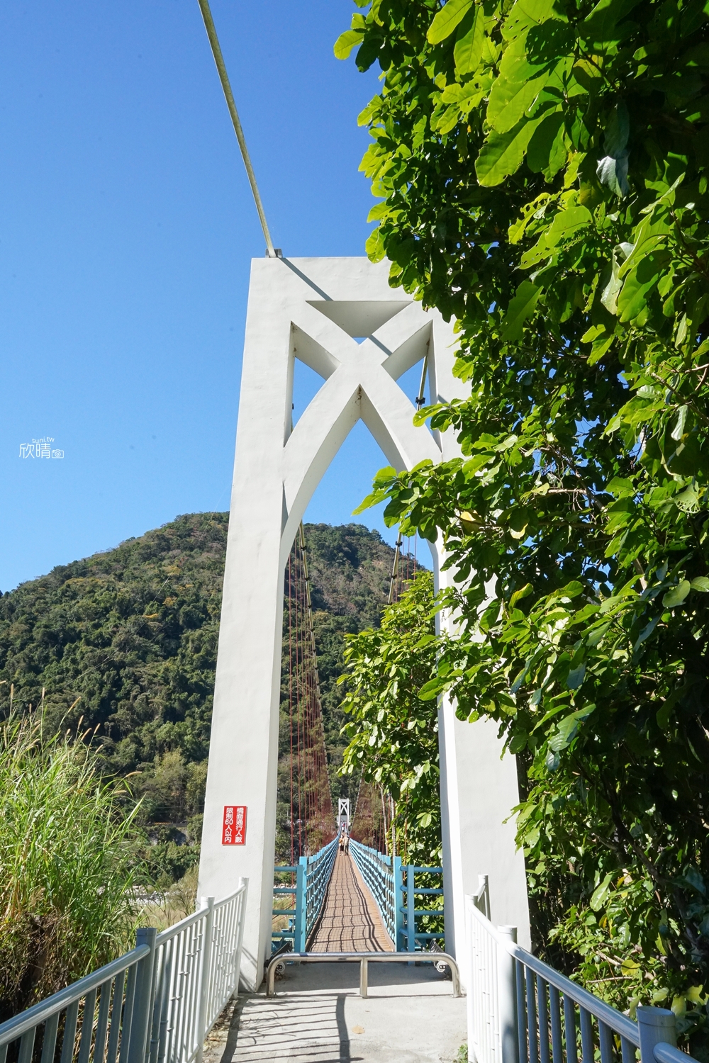 台中谷關景點｜白鷺吊橋。台中最長吊橋
