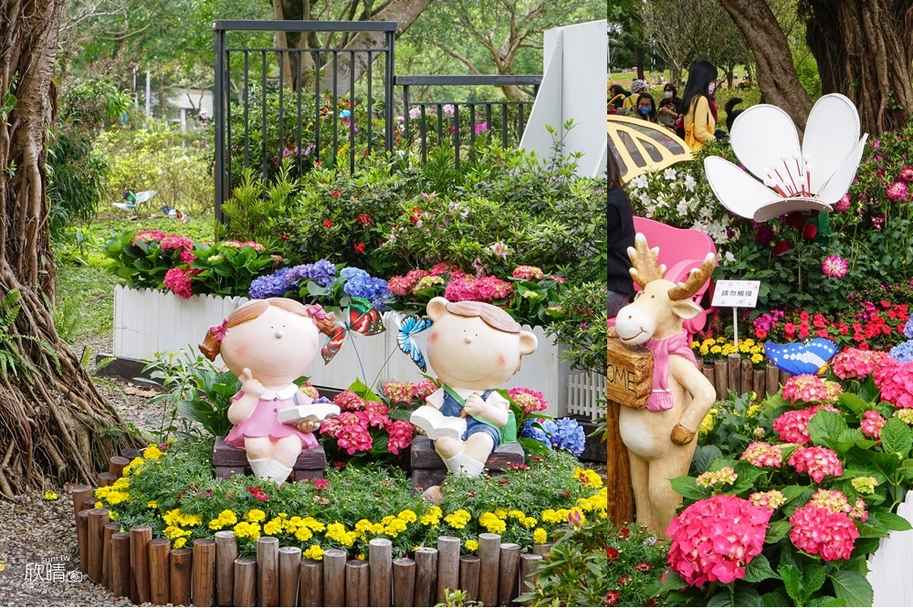 大安森林公園繡球花季｜台北市區景點。2000盆繡球花海綻放中
