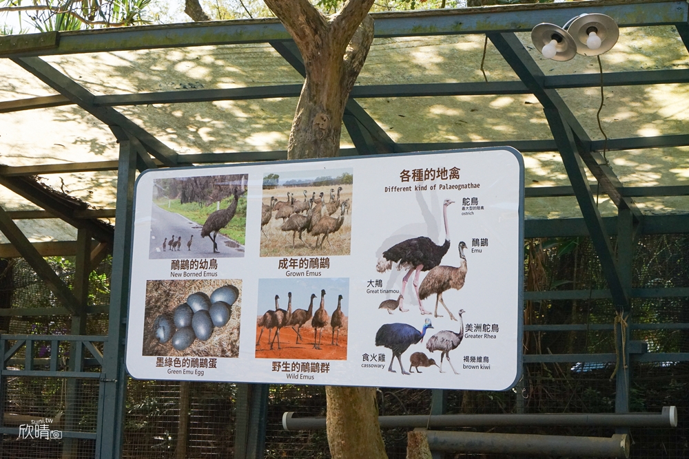 新竹景點推薦｜綠世界生態農場。近距離與羊駝互動！鳥園鳥超美~門票交通資訊
