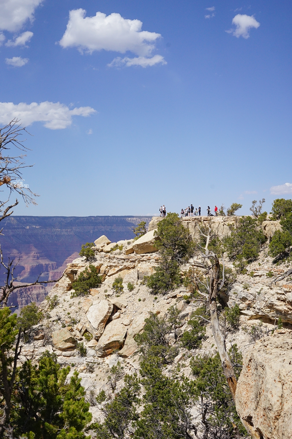 亞利桑那州必去景點｜Grand Canyon大峽谷一日遊！20億年地質變化一覽無遺