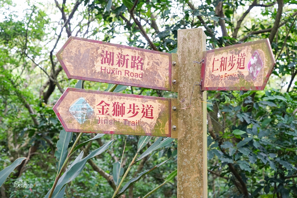 新竹步道推薦｜仁和步道、金獅步道。湖口桐花景點！