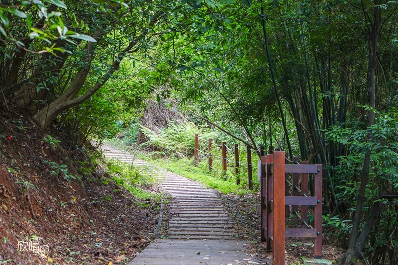 新竹步道推薦｜文山步道。單趟20分鐘登頂~還有可愛戽斗星球雕像