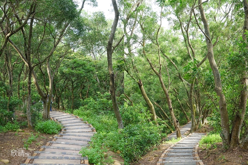 新竹步道推薦｜文山步道。單趟20分鐘登頂~還有可愛戽斗星球雕像
