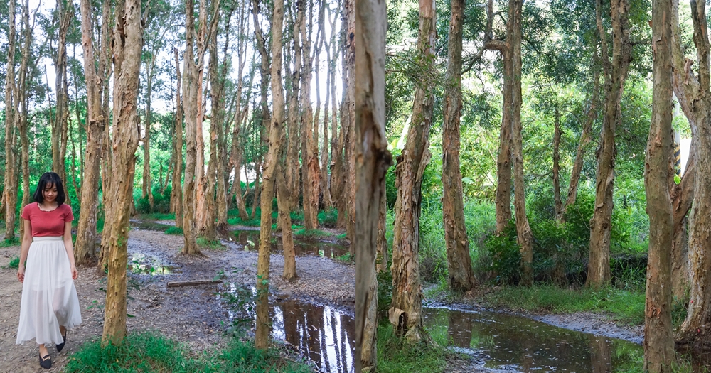 新竹秘境景點推薦｜香山森林。婚紗拍照取景之處 @欣晴。美食旅遊生活分享
