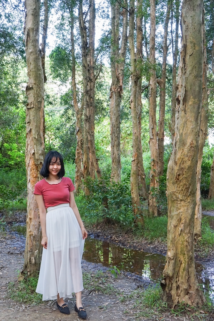 新竹秘境景點推薦｜香山森林。婚紗拍照取景之處
