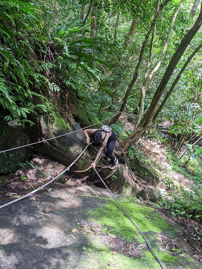 新竹爬山景點｜石牛山小百岳~手腳並用垂直陡上、跨越溪流~桃園新竹市景