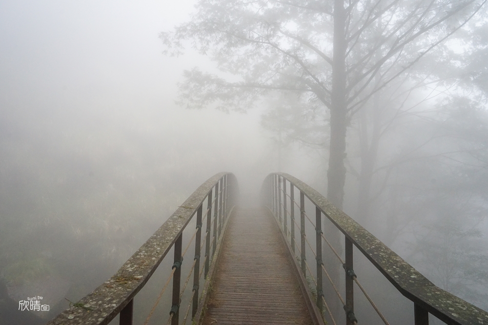 太平山景點推薦｜見晴懷古步道。全台最美森林小路~起霧朦朧也很美~