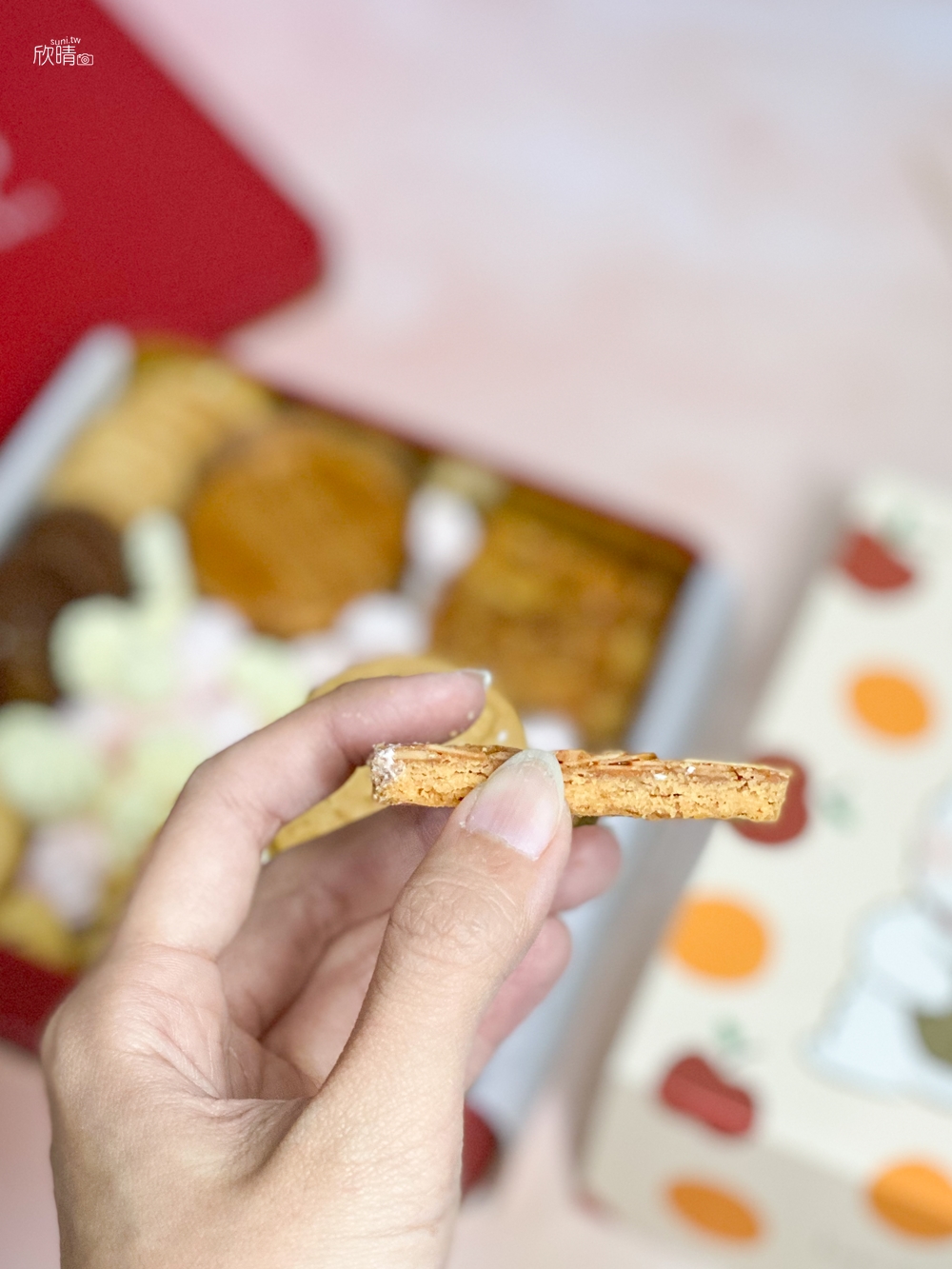 手工餅乾禮盒推薦｜Koti Koti。超有份量的精緻手工餅乾~彌月禮盒、結婚喜餅