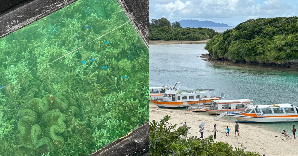石垣島景點推薦｜川平灣玻璃船免下海就能看海底生物、展望台吹風看海 @欣晴。美食旅遊生活分享