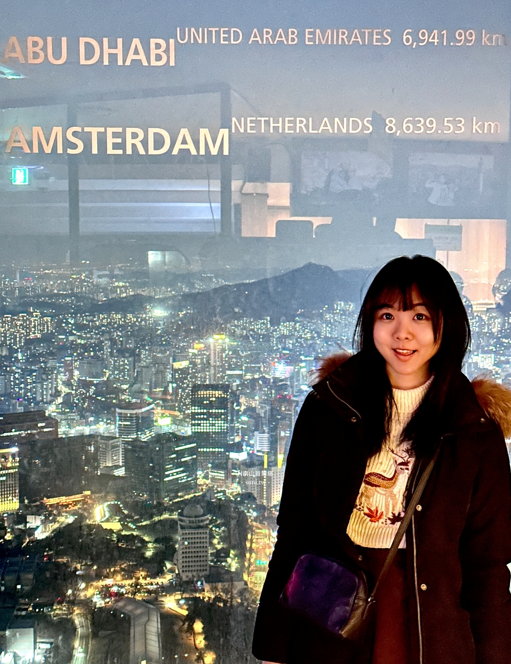 首爾景點推薦｜N南山首爾塔。搭乘南山纜車看夜景~櫻花季更美麗