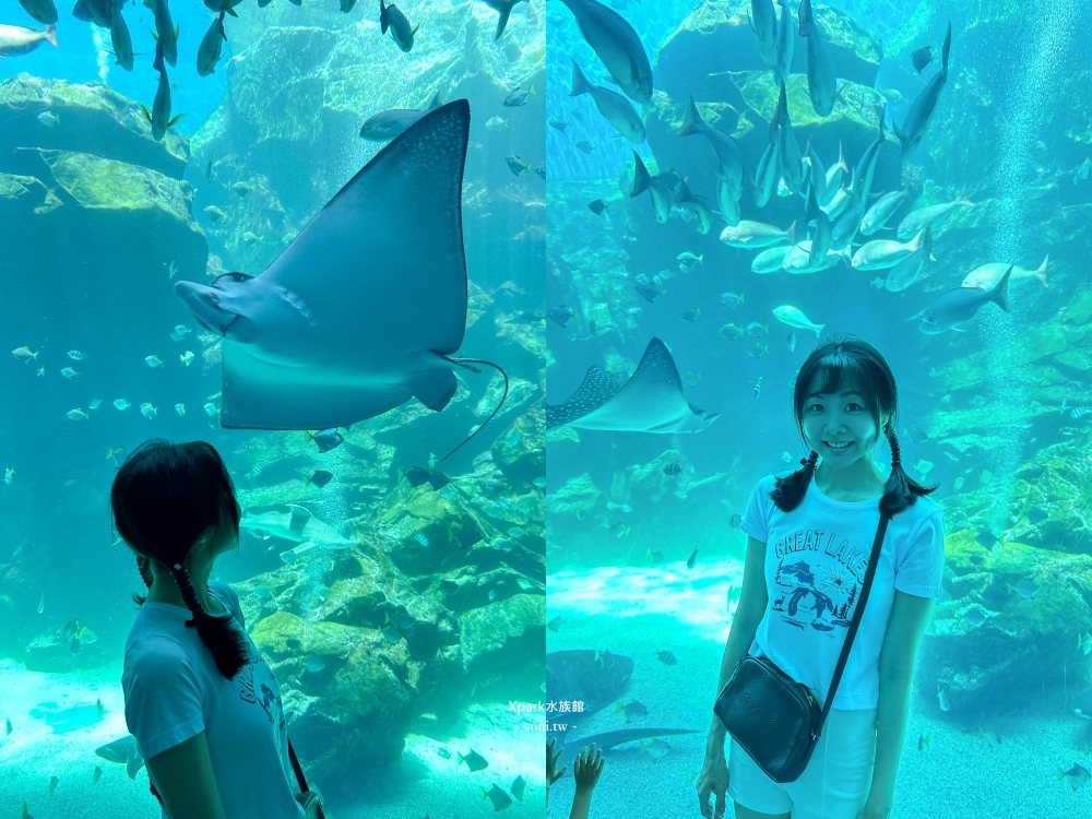 Xpark水族館|桃園青埔景點。走進夢幻國度欣賞水母、魟魚、鯊魚~必拍海底世界推薦 Xpark水族館|桃園青埔景點。走進夢幻國度欣賞水母、魟魚、鯊魚~必拍海底世界推薦