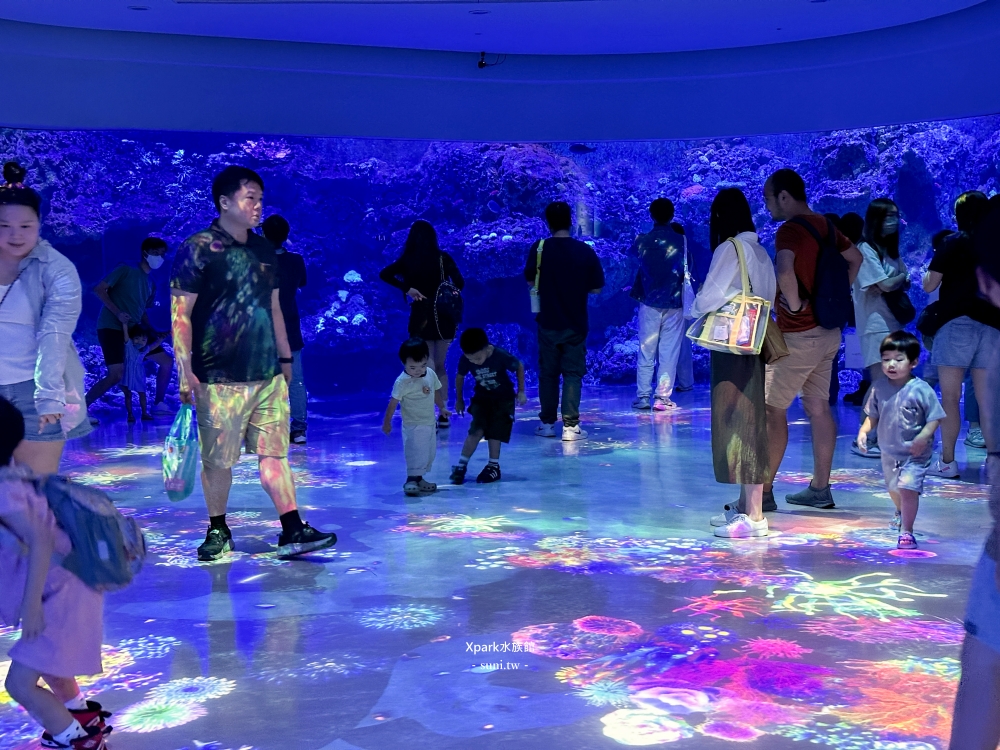 Xpark水族館｜桃園青埔景點。走進夢幻國度欣賞水母、魟魚、鯊魚~必拍海底世界推薦