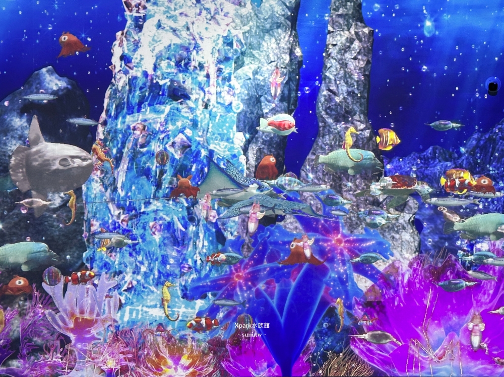 Xpark水族館|桃園青埔景點。走進夢幻國度欣賞水母、魟魚、鯊魚~必拍海底世界推薦 Xpark水族館|桃園青埔景點。走進夢幻國度欣賞水母、魟魚、鯊魚~必拍海底世界推薦