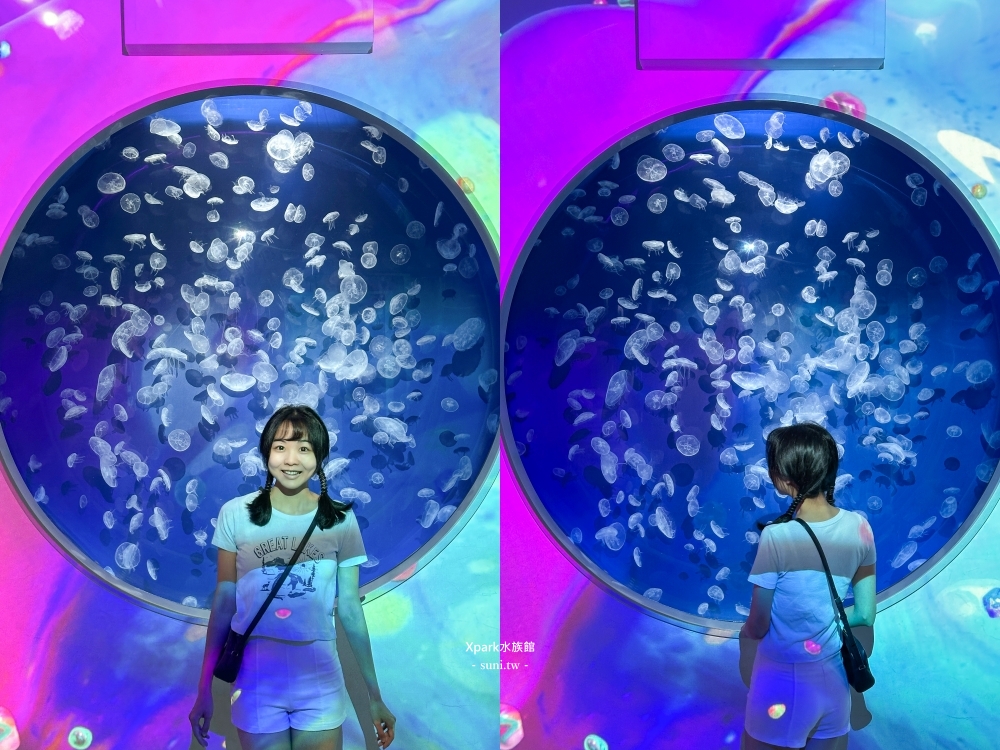 Xpark水族館｜桃園青埔景點。走進夢幻國度欣賞水母、魟魚、鯊魚~必拍海底世界推薦